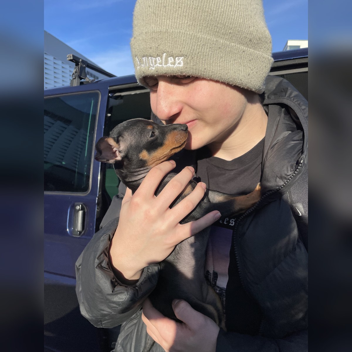 Valpar efter Sansa och Gambit, bild 7