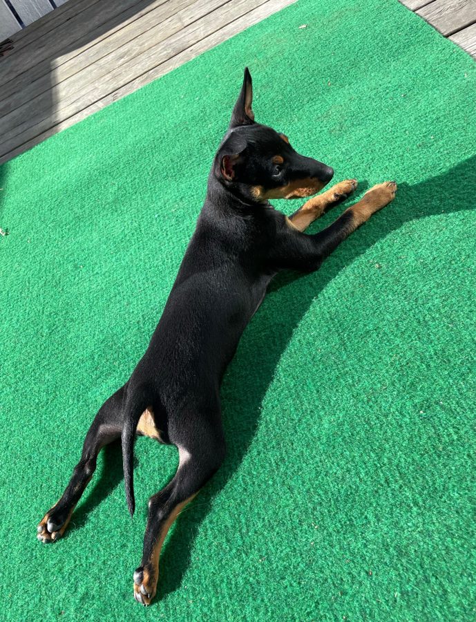 När solen kommer fram går vi ut